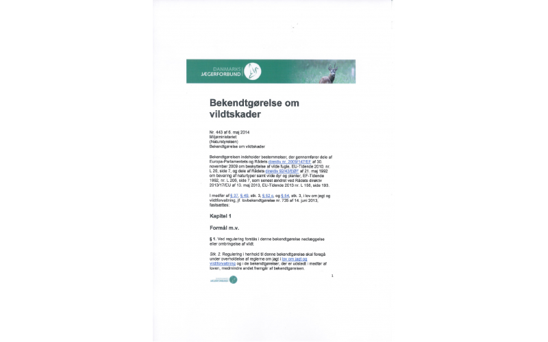 Reguleringsjæger